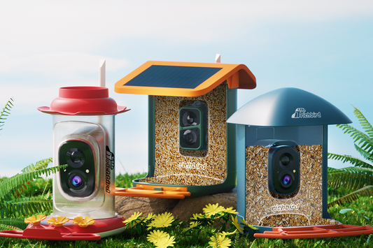 What You Need to Know Before Buying a Smart Bird Feeder in 2025