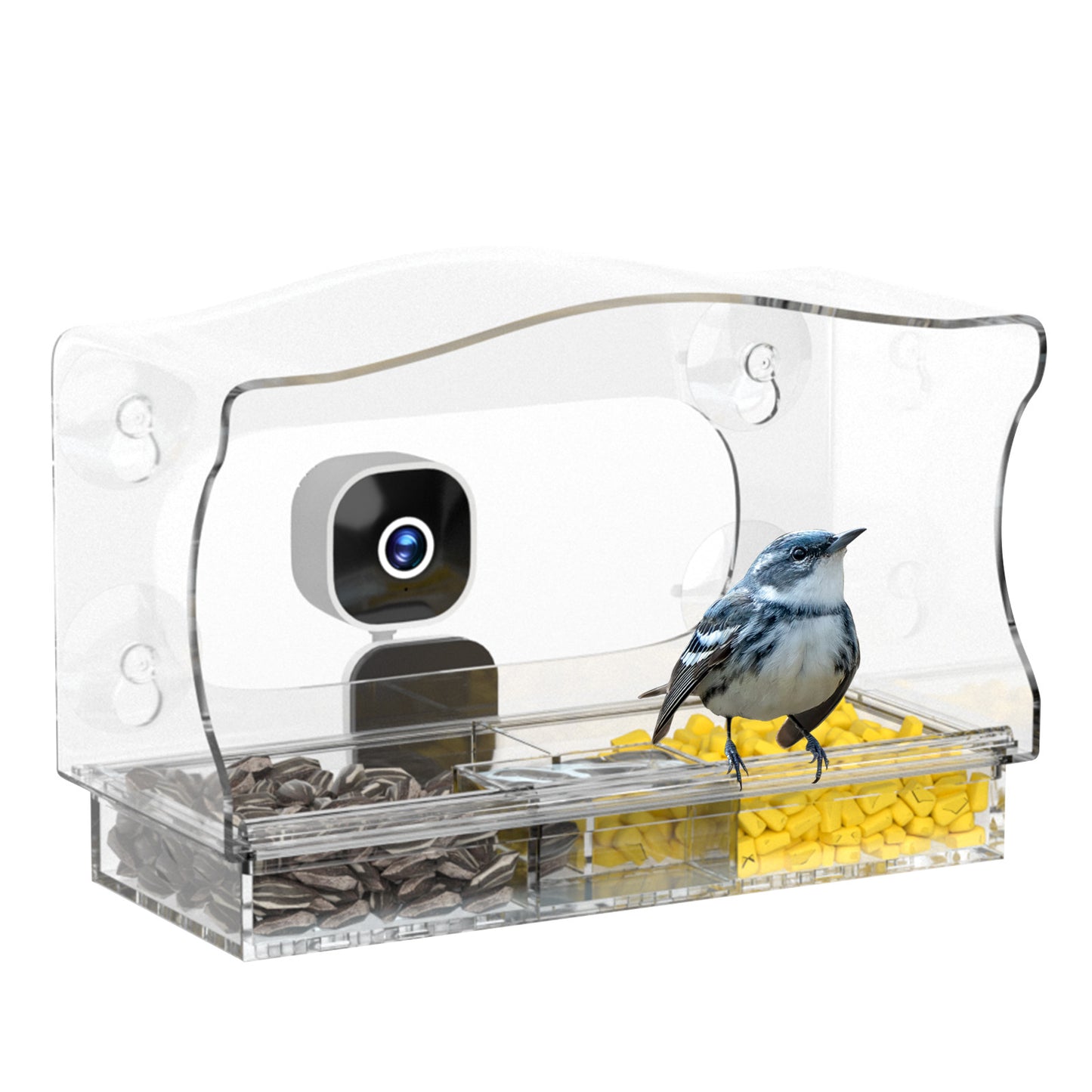 Smart Window Bird Feeder with Camera