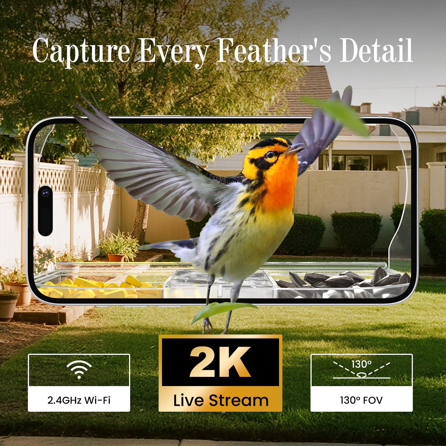 Smart Window Bird Feeder with Camera