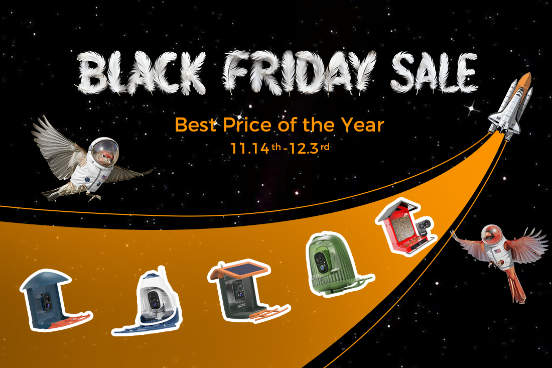 COOLFLY Black Friday Sale Is Live: Shop the Lowest Prices of 2025