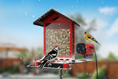 Comprehensive Guide to Rusto Pro