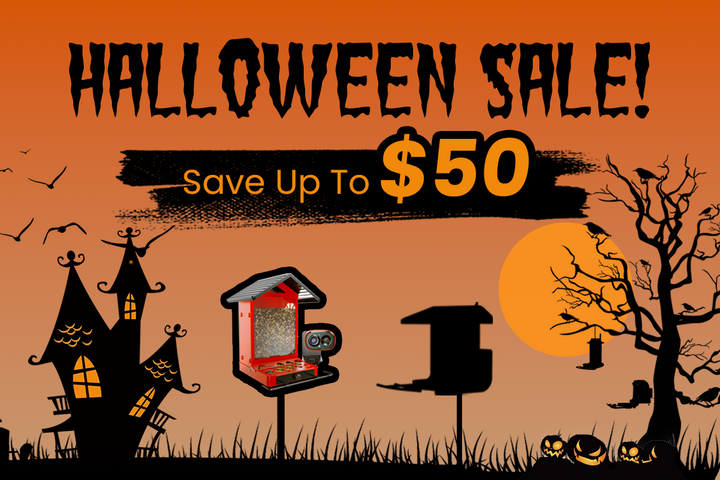 Up to $50 OFF — Make This Halloween Extra Fun with CoolFly!