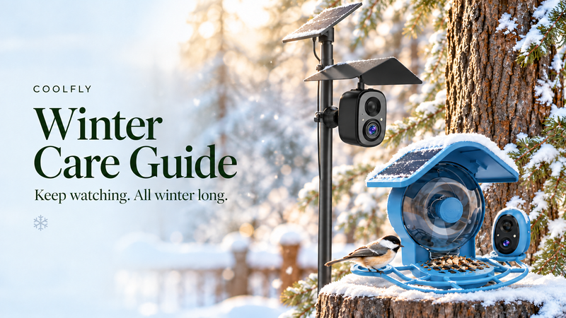 How Cold Is Too Cold?  COOLFLY Bird Feeder Cameras in Winter 2026