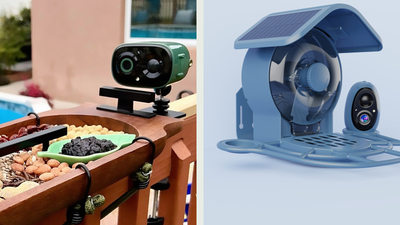 Side-by-side comparison of a green COOLFLY Flex camera on an existing bird feeder and a blue Aura solar smart bird feeder with integrated camera