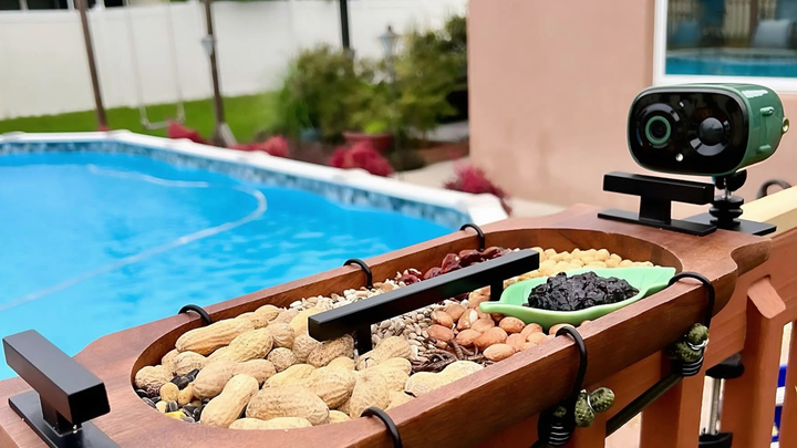 COOLFLY Flex AI Bird Cam mounted above a wooden backyard bird feeder on a poolside deck
