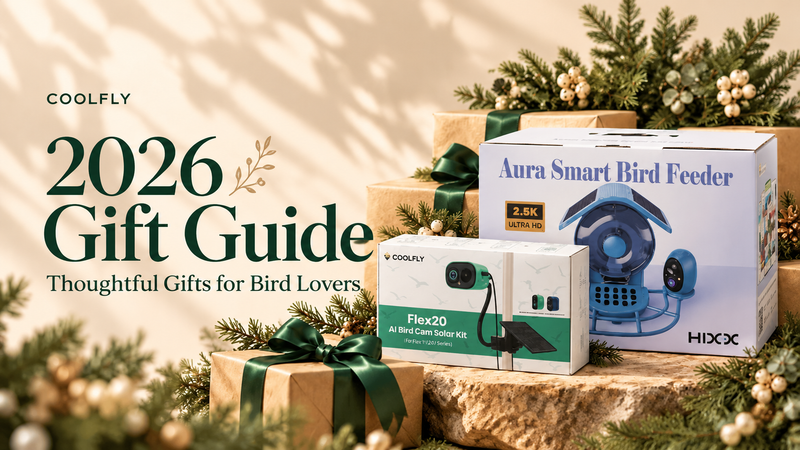11 Thoughtful Holiday Gifts for Bird Lovers (2026)