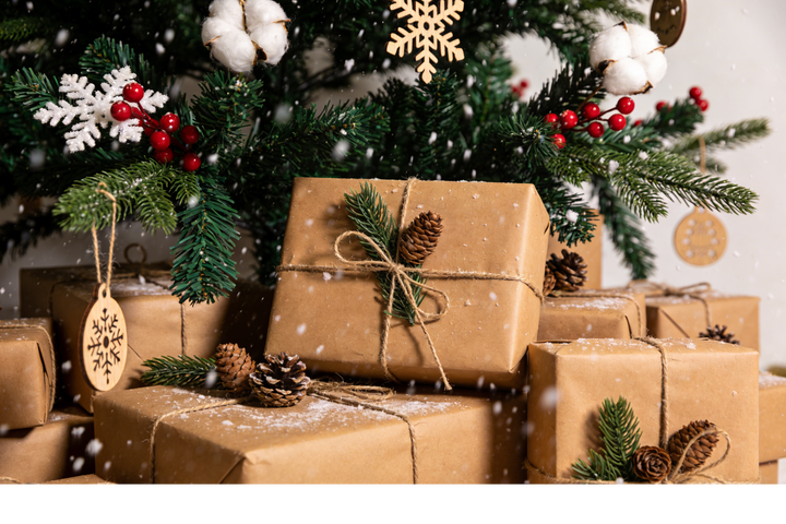 The Best Christmas Gift Ideas for Bird Lovers in 2025: Give the Gift of Magic