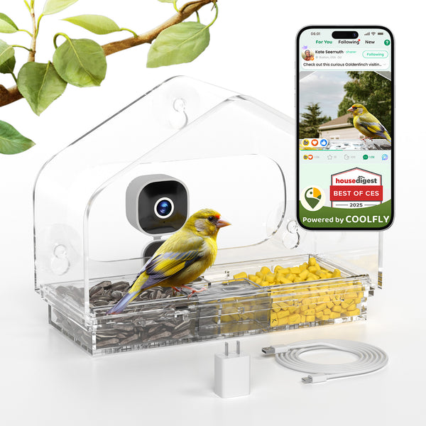 Rivue™ Smart Window Bird Feeder with Camera