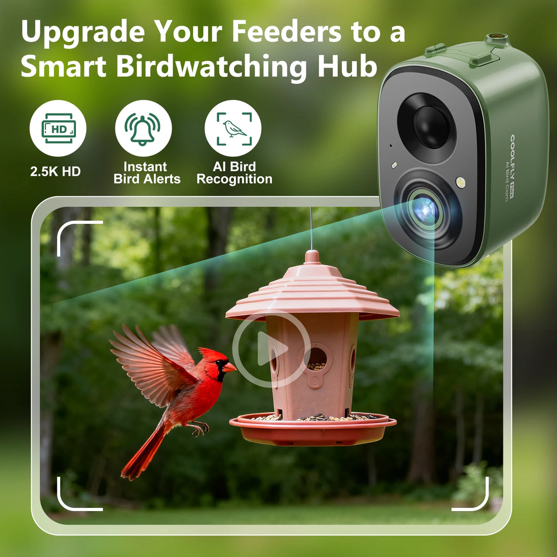 Flex AI Bird Cam – COOLFLY