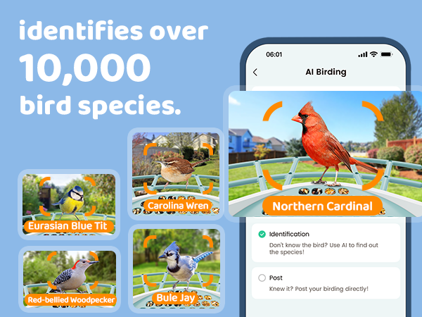03. Instantly Know Every Bird That Visits You