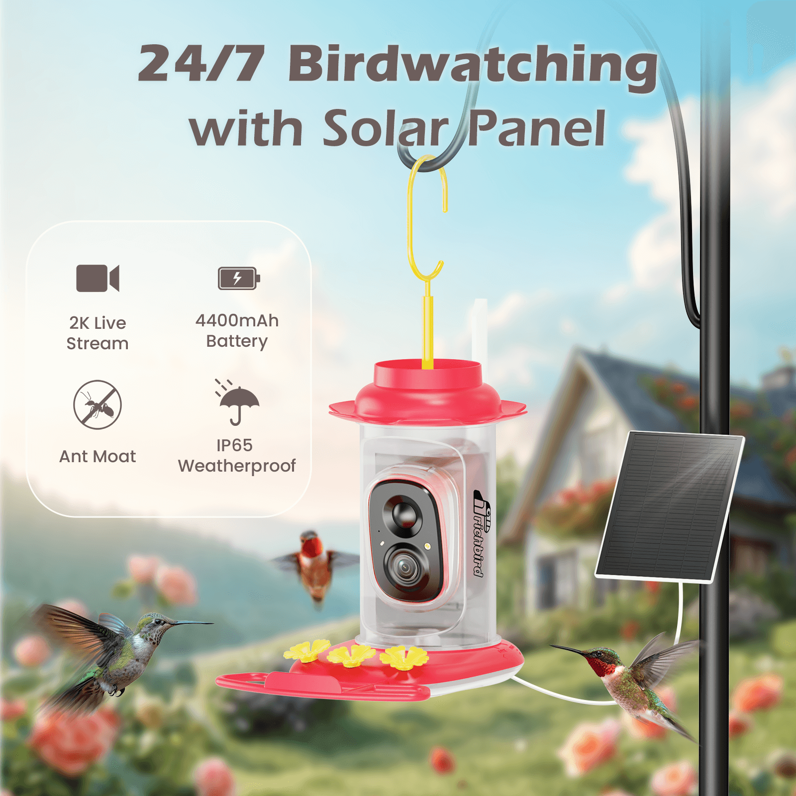 Smart Hummingbird Feeder – CoolFly