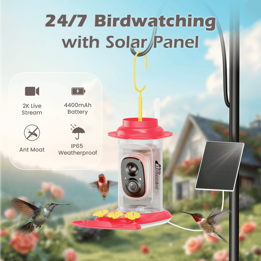 RichBird® Smart Hummingbird Feeder
 Birdwatching with Solar Panel