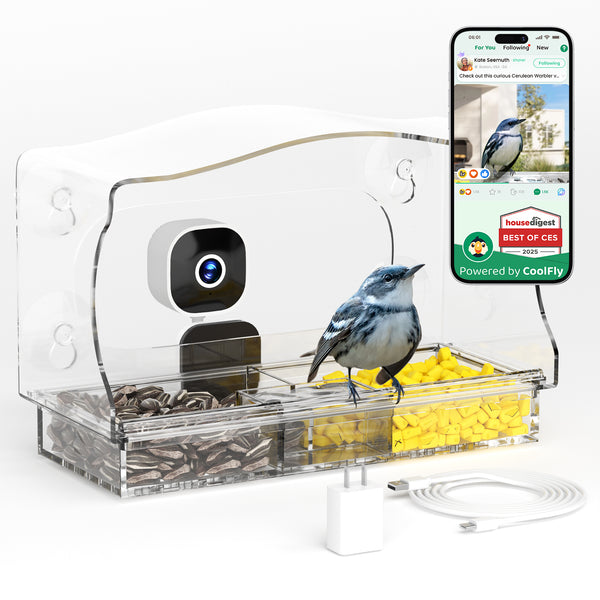 Glasee™ Smart Window Bird Feeder with Camera
