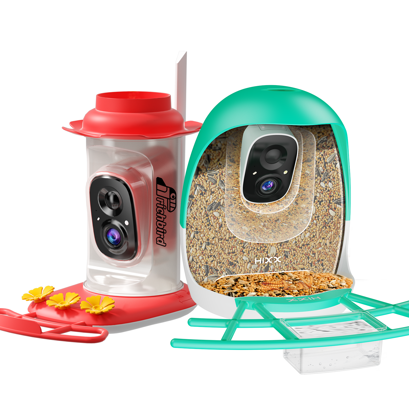 The Backyard Essentials Bundle