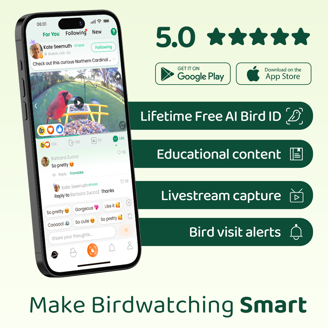 HIXX® Smart Bird Feeder