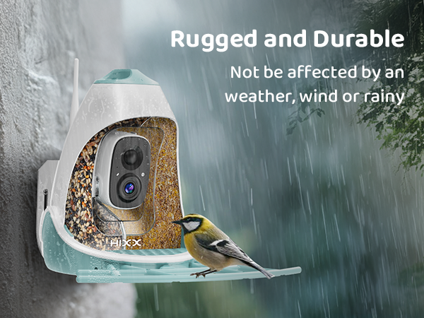 06. Enjoy Clear Birdwatching in Any Weather