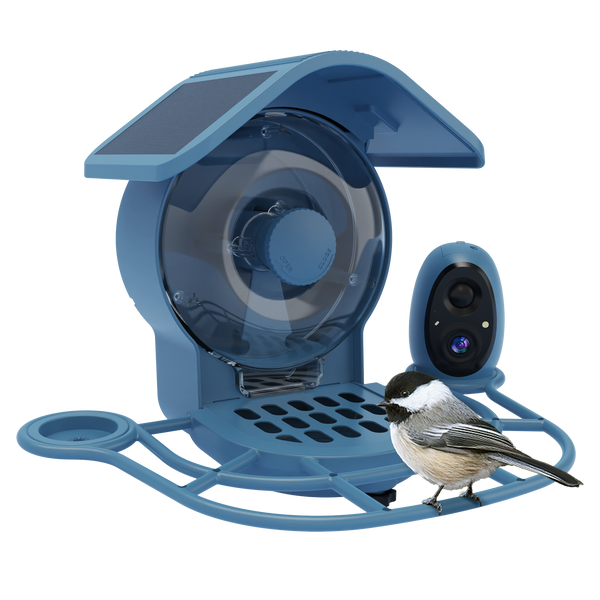Aura Smart Bird Feeder | Build-in AI