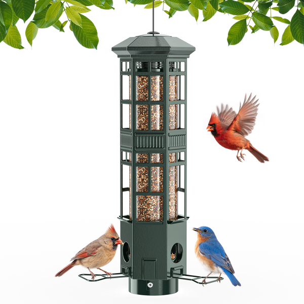 The Invincible Metal Smart Feeder