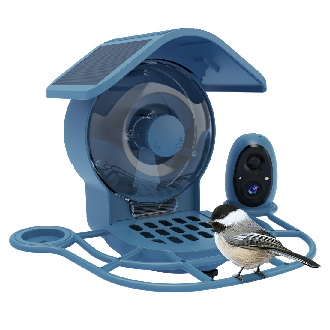 Aura Smart Bird Feeder | Built-in AI