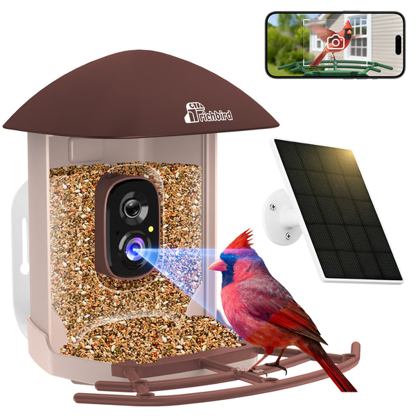 Revive™ Plus Smart Bird Feeder | 4MP