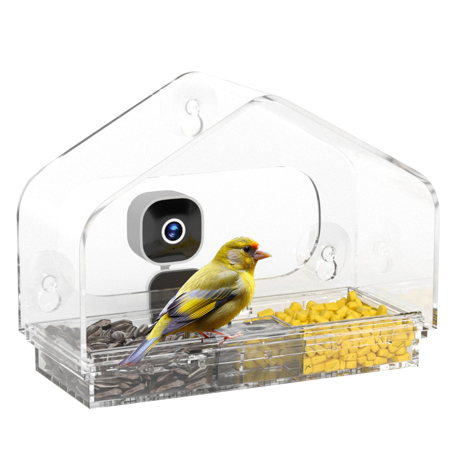 Smart Window Bird Feeder with Camera