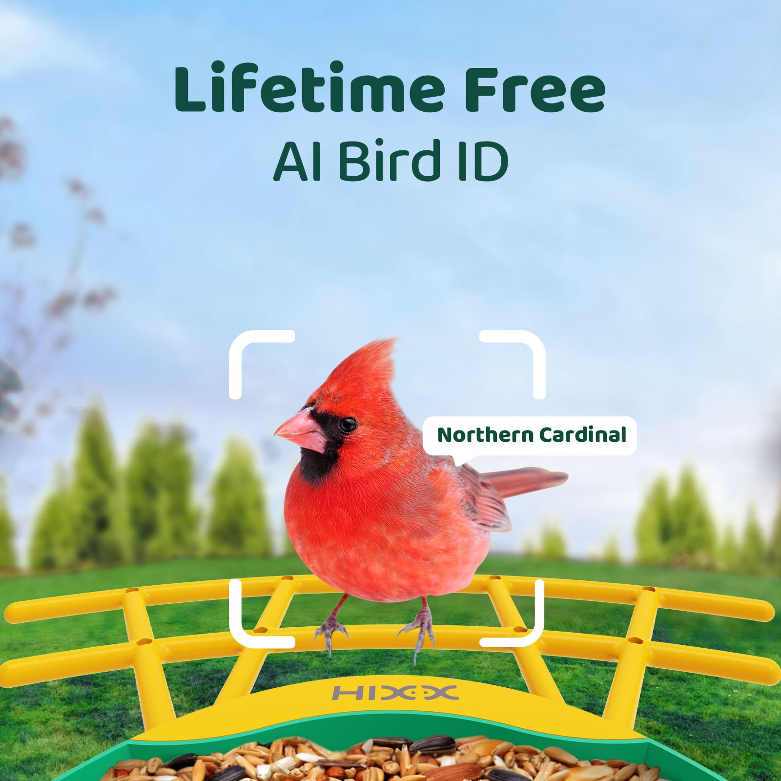 HIXX® Smart Bird Feeder