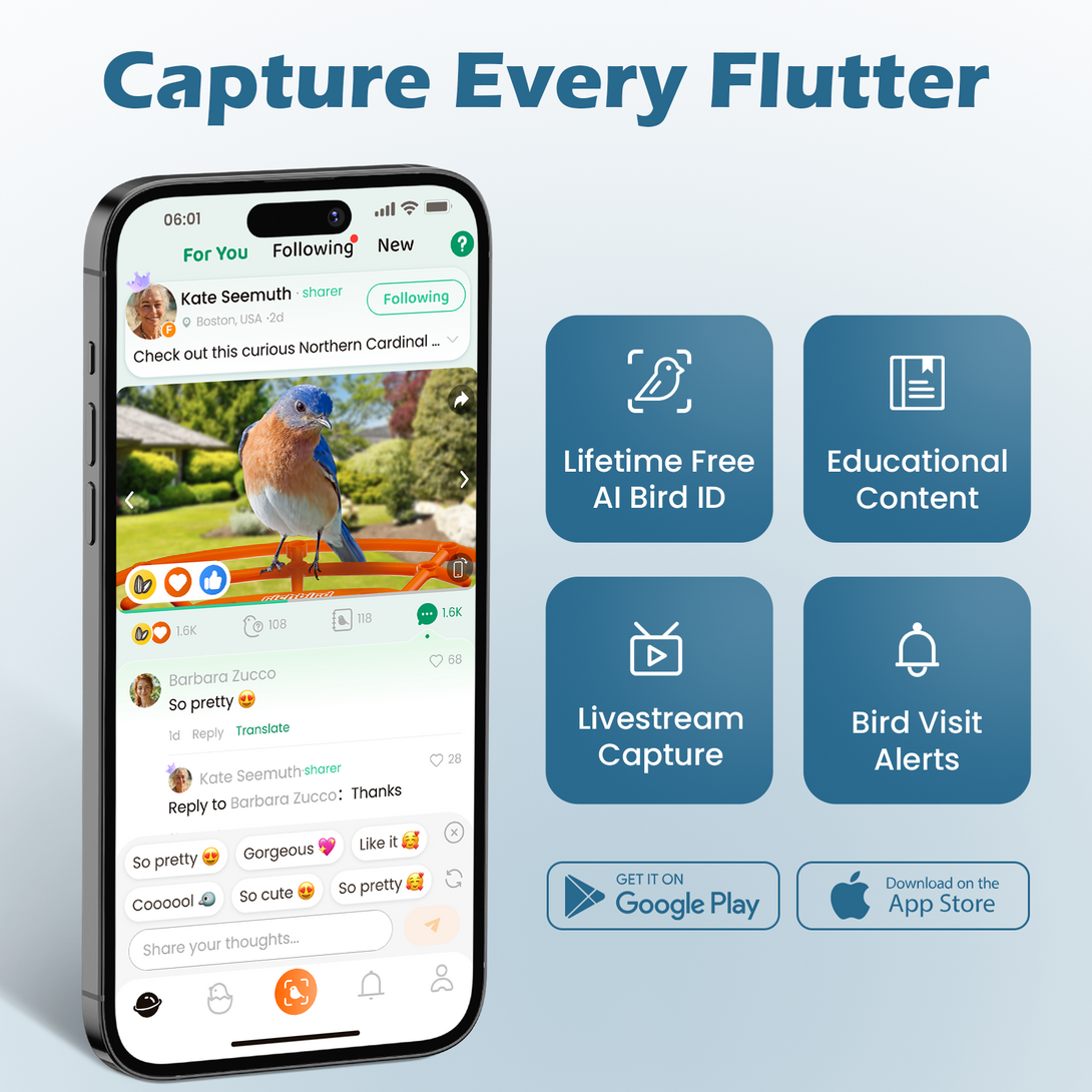 RichBird® Smart Bird Feeder