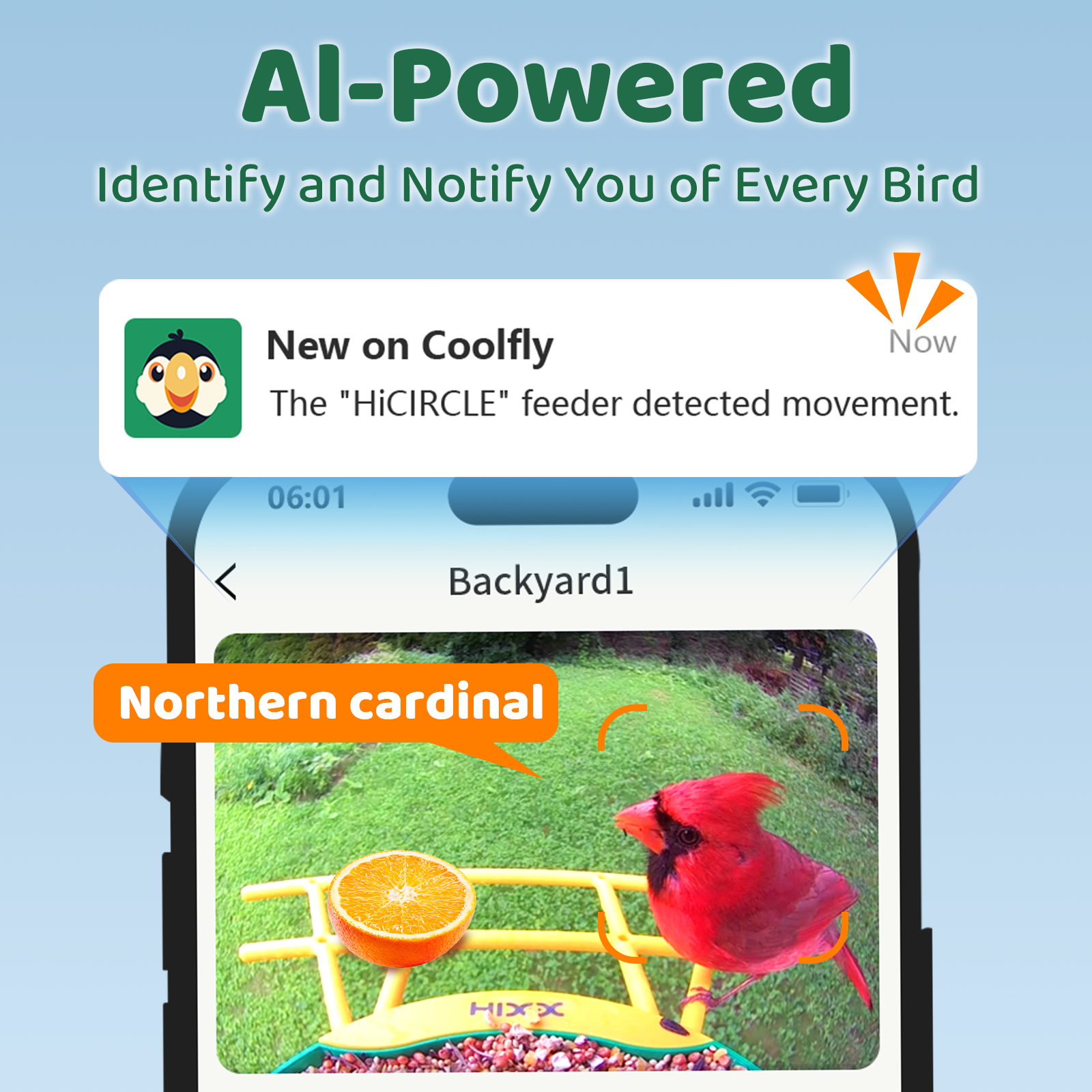 HIXX® Smart Bird Feeder