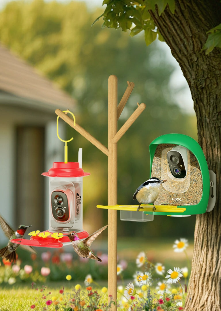 CoolFly is More than Birding
