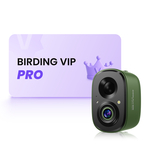 COOLFLY Birding VIP Pro Annual Plan (Flex AI Cam Included)