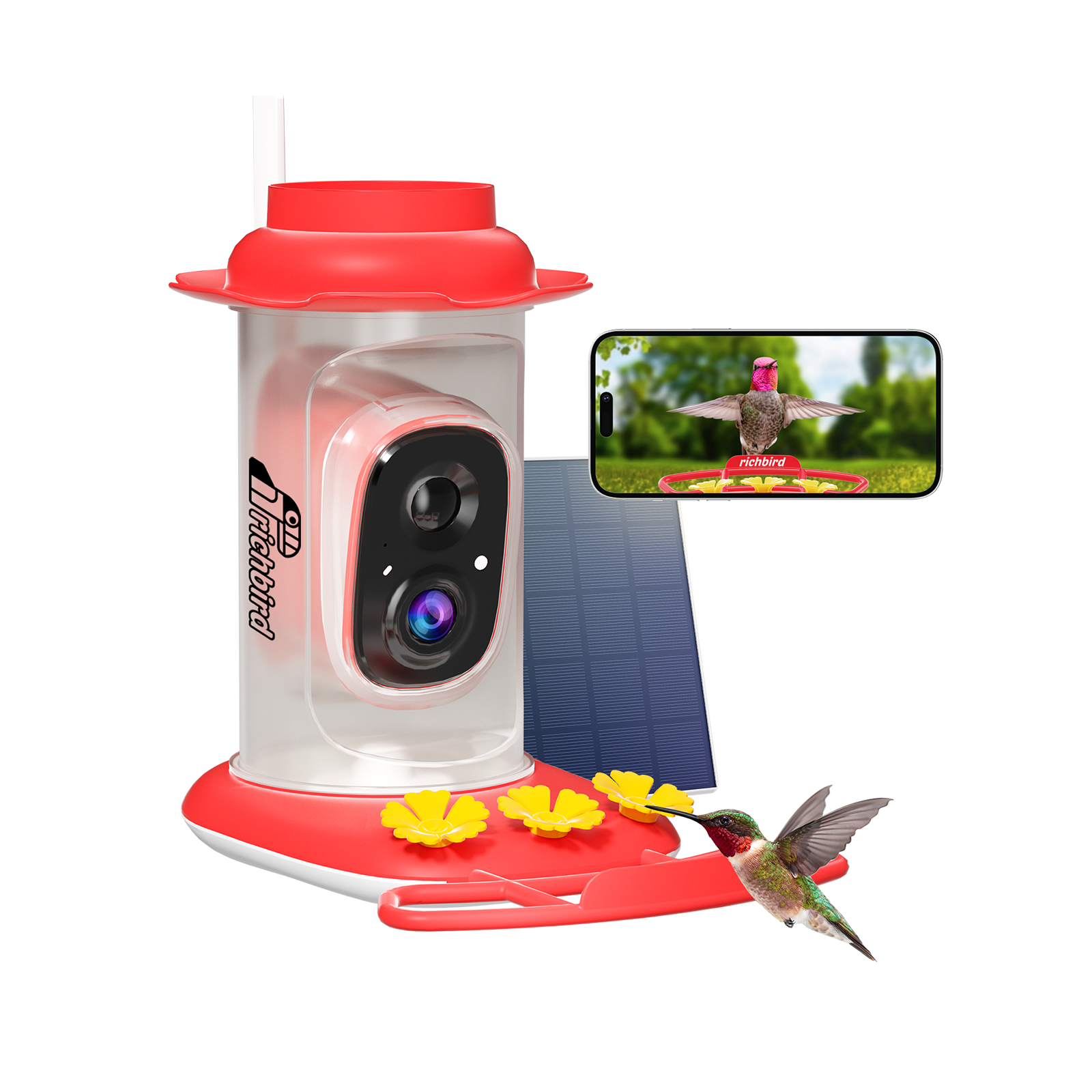 Rapidity™ Smart Hummingbird Feeder