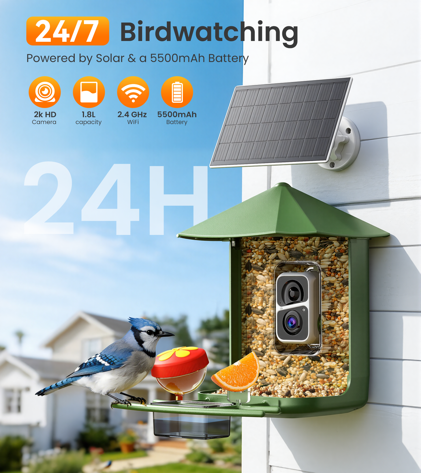 Orivanta Smart Bird Feeder｜ 2K HD