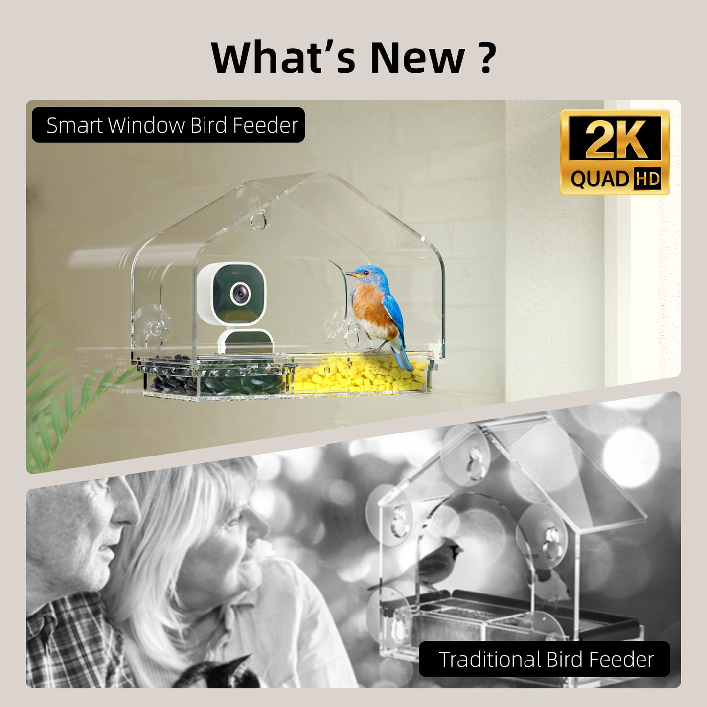 Smart Window Bird Feeder with Camera