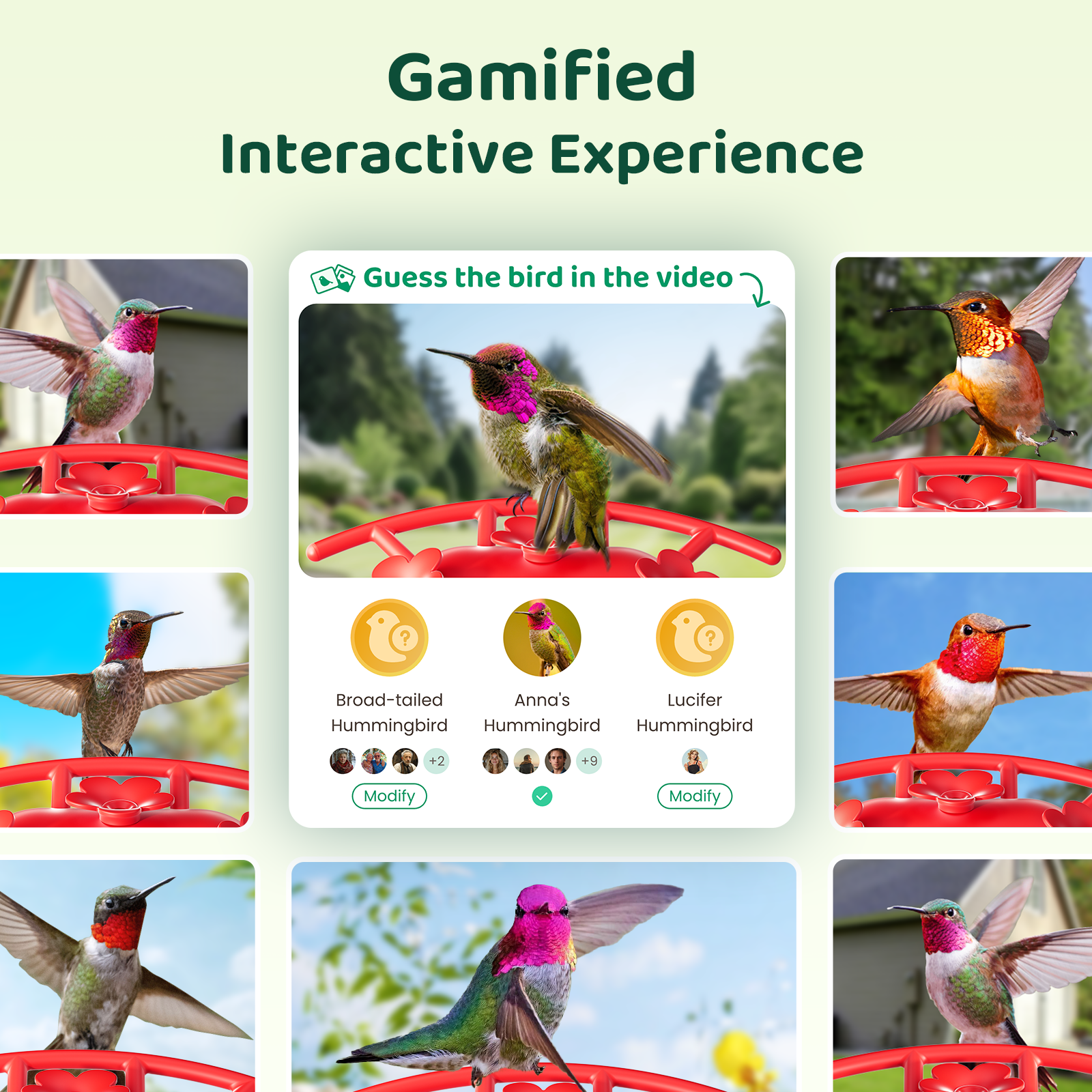 HIXX® Smart Hummingbird Feeder