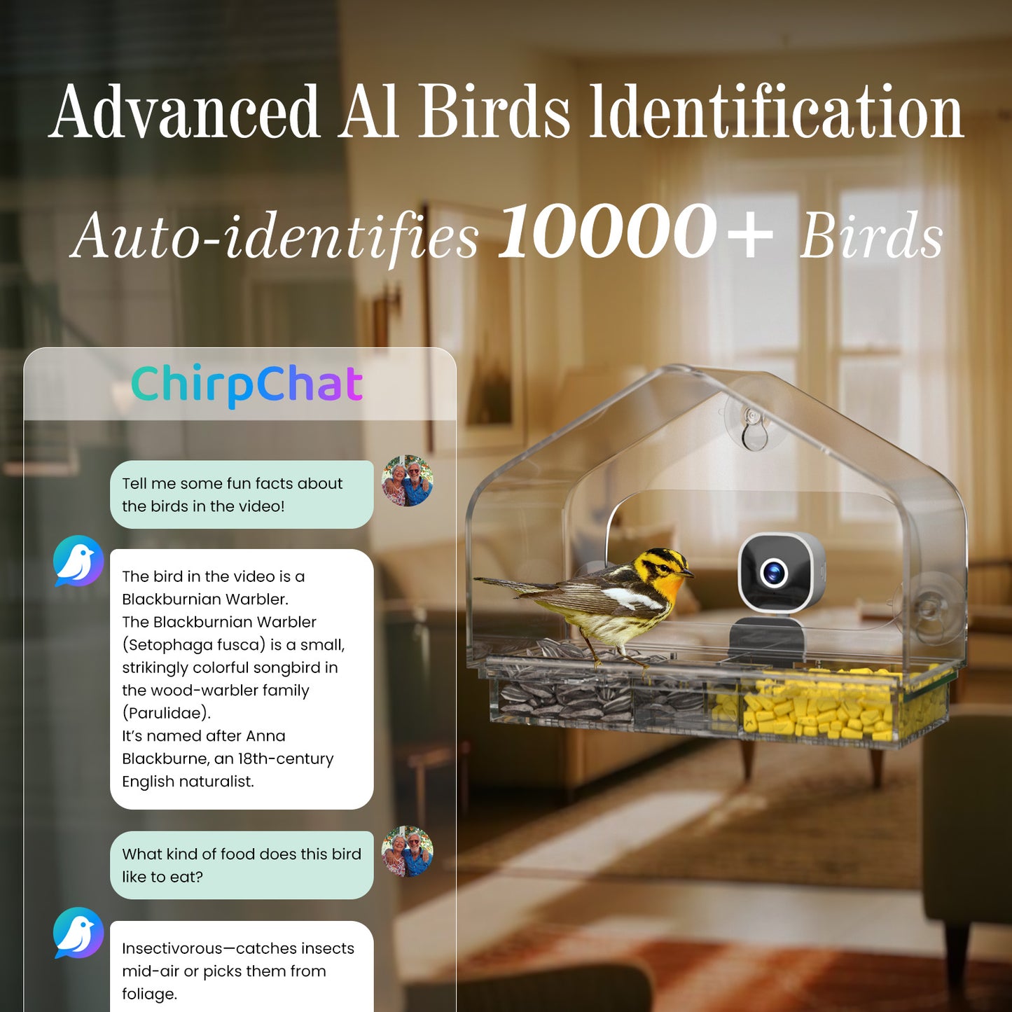 Smart Window Bird Feeder with Camera