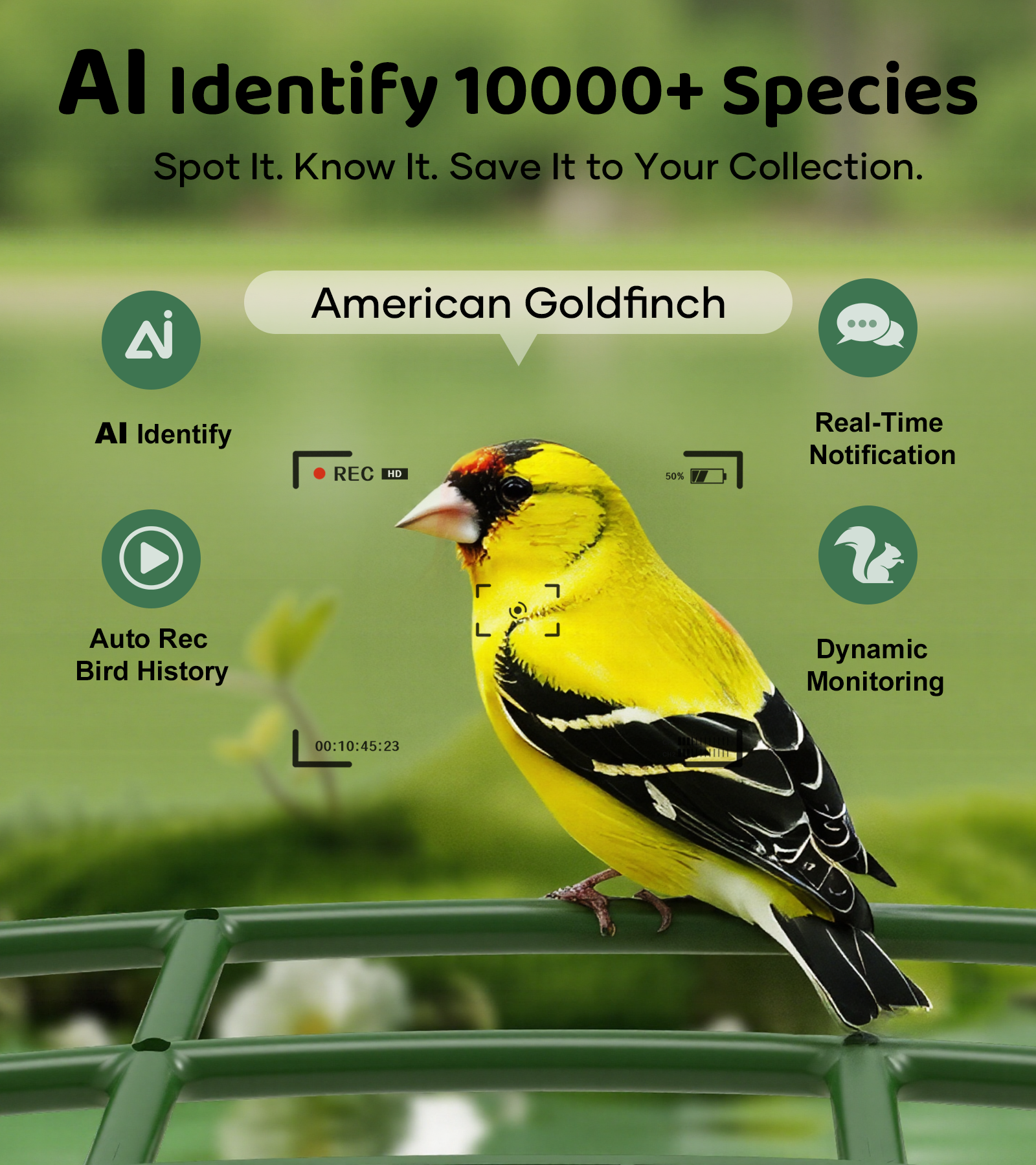 Orivanta Smart Bird Feeder｜ 2K HD