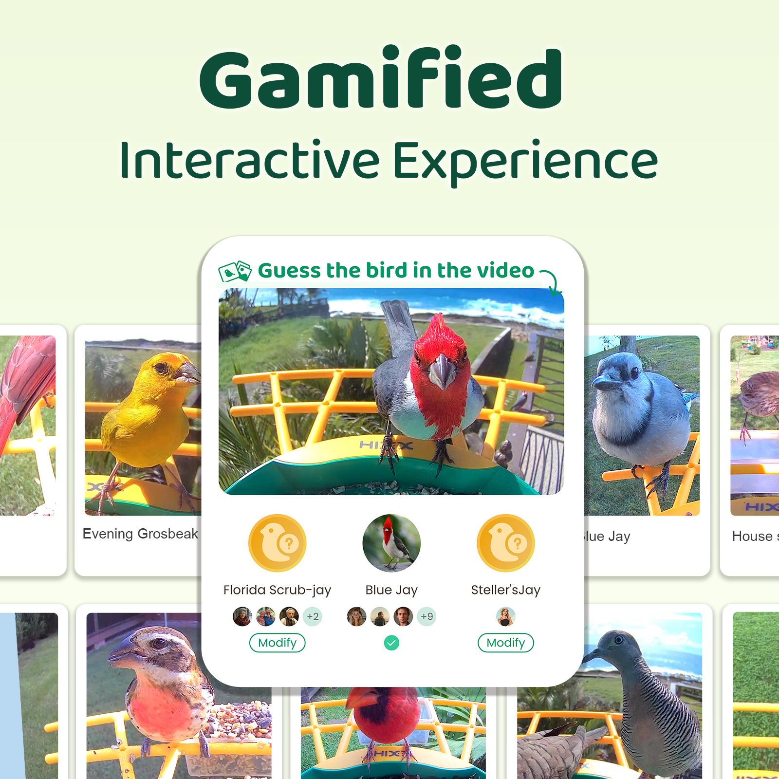 HIXX® Smart Bird Feeder