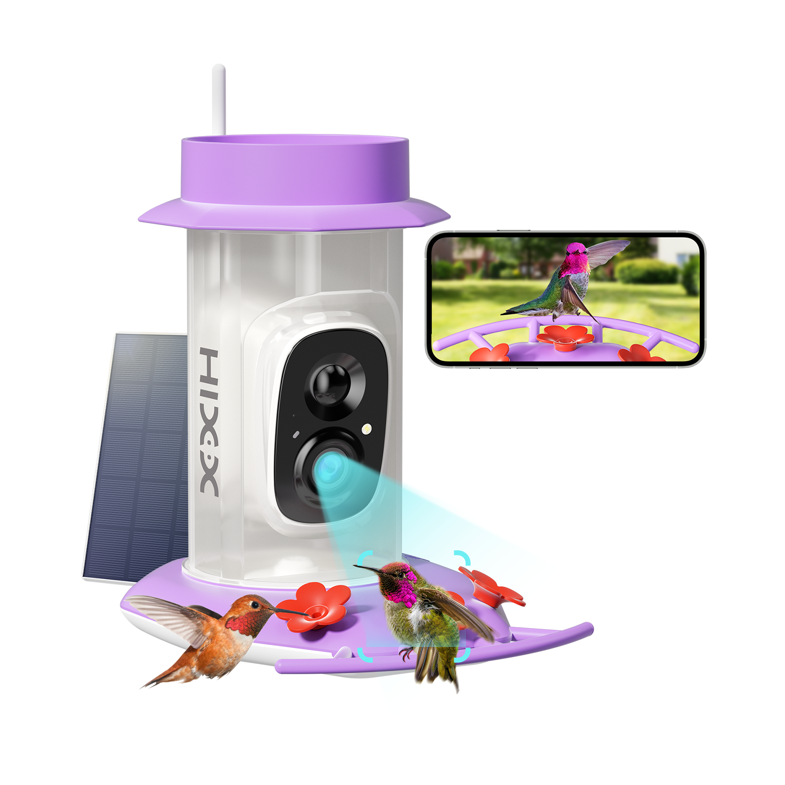 HiLUSH™ Smart Hummingbird Feeder (2-Pack)