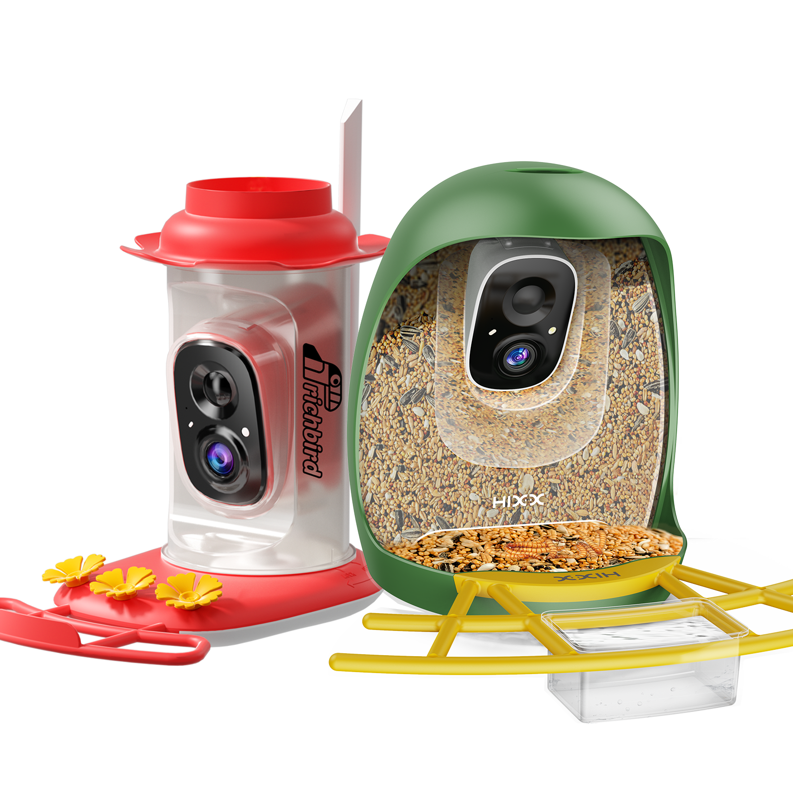 The Backyard Essentials Bundle