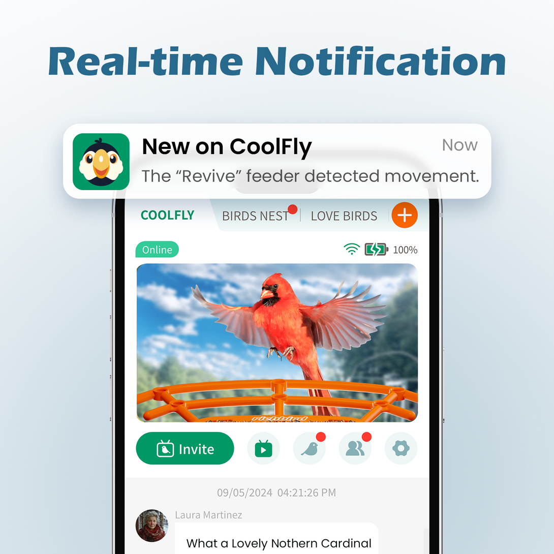 Real-time Notification on CoolFly