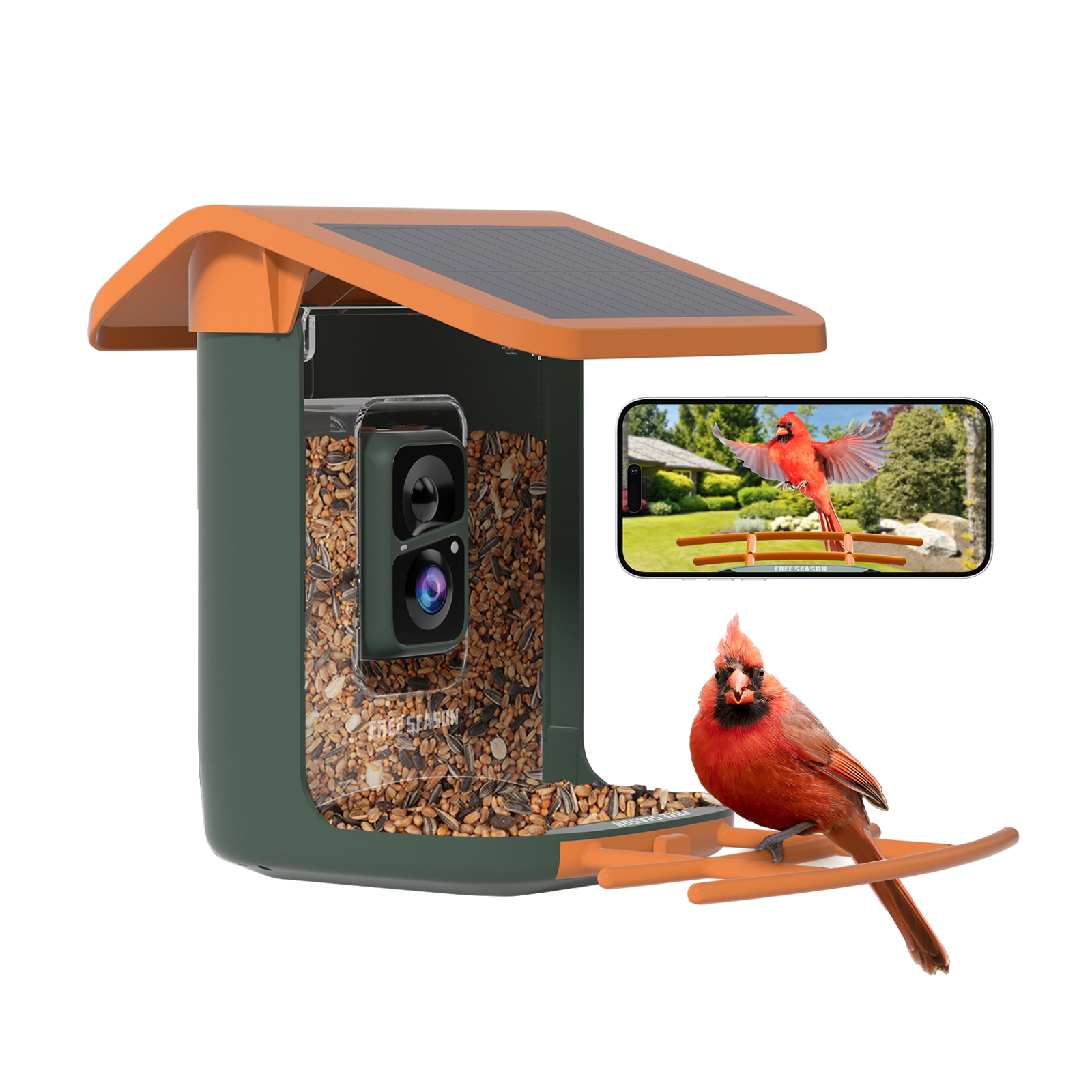 Smart Bird Feeder