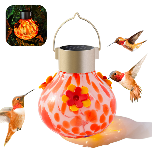 Solar Glow Feeder