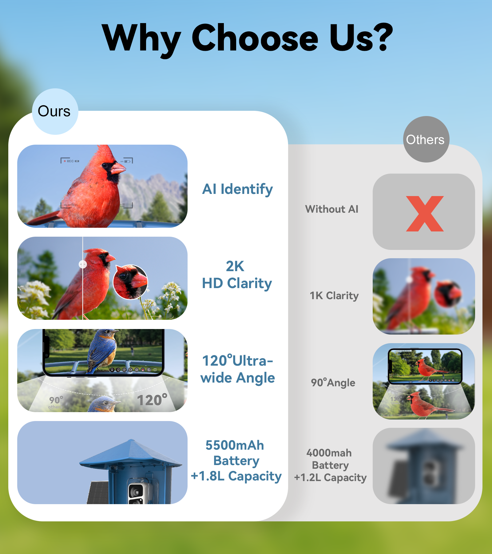 Orivanta Smart Bird Feeder｜ 2K HD