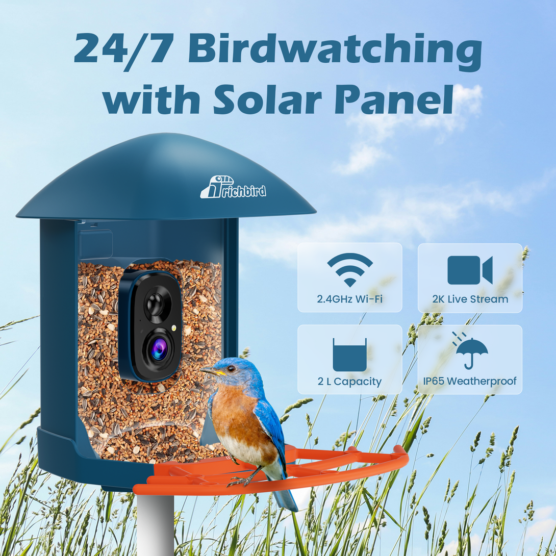 Birdwatching with Solar Panel