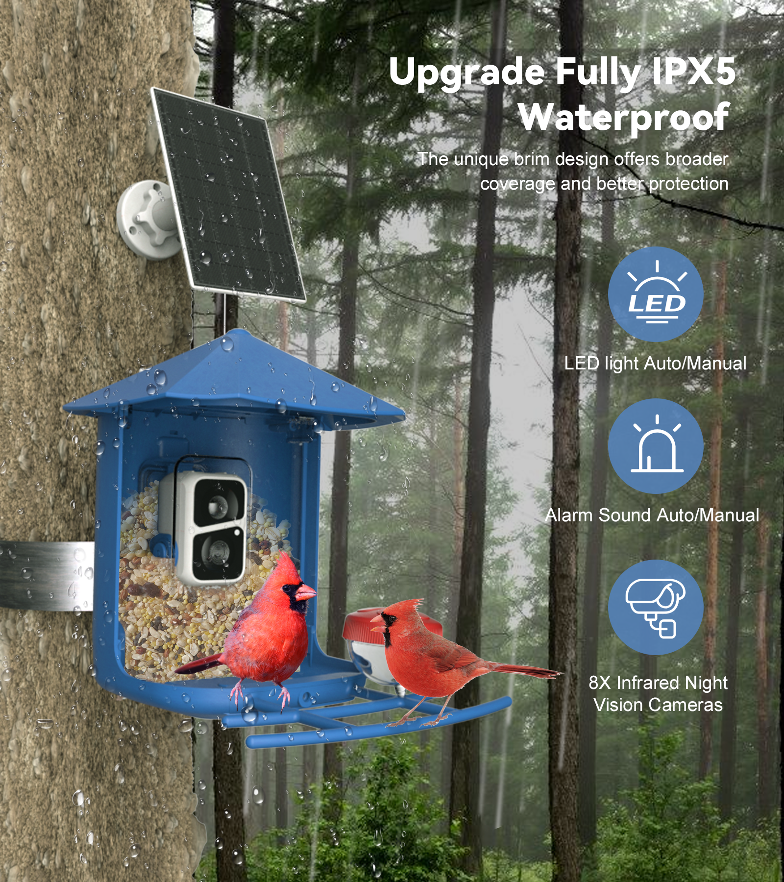 Orivanta Smart Bird Feeder｜ 2K HD