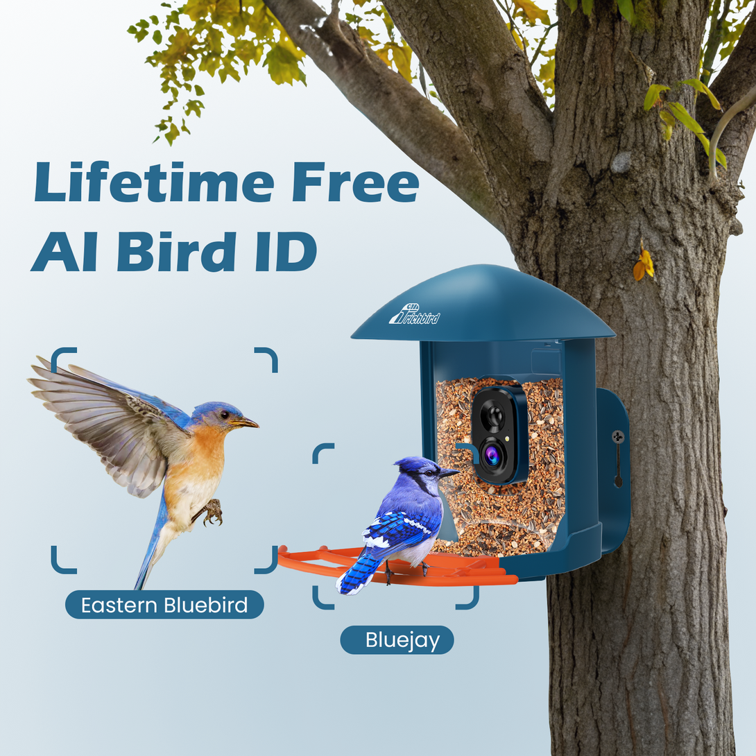 RichBird® Smart Bird Feeder Free AI Bid ID