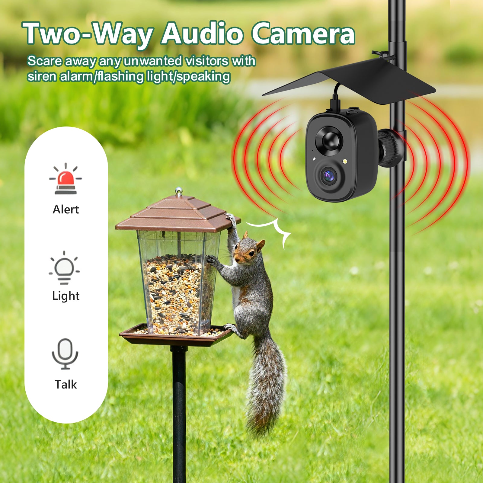 Reelook All in One Birdwatching Station