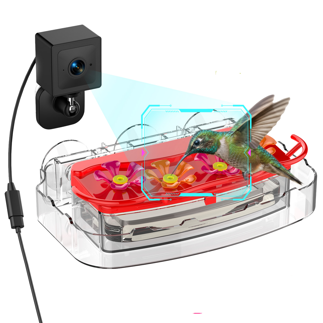 Nectlee Smart Window Hummingbird Feeder