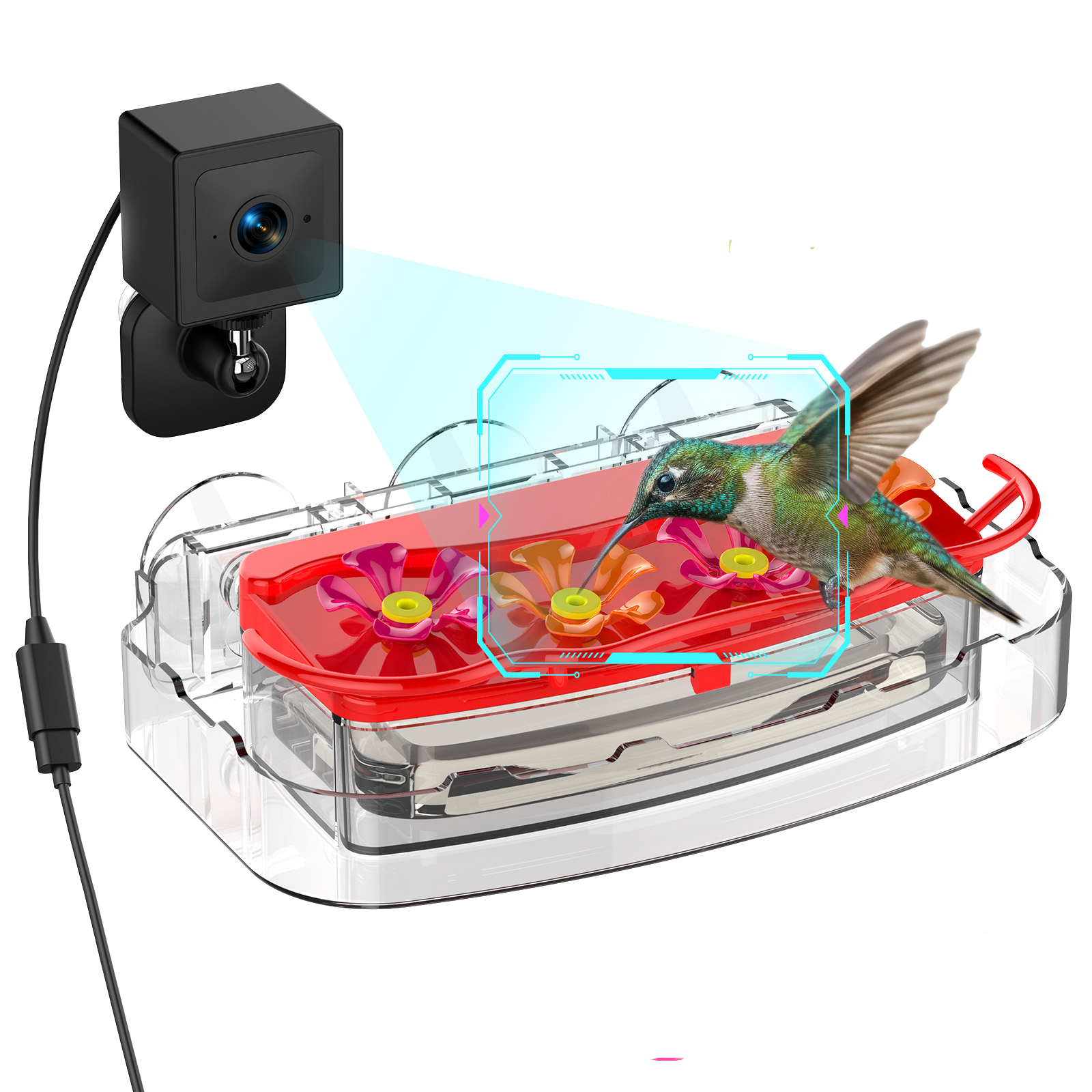 Nectlee Smart Window Hummingbird Feeder