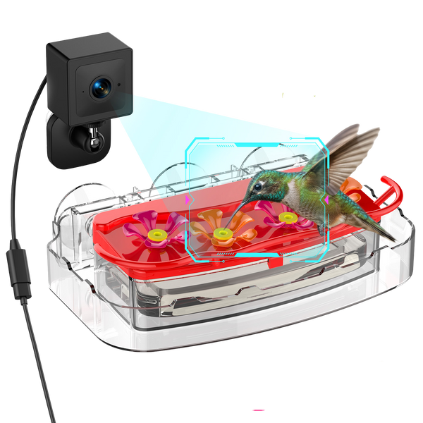 Nectlee Smart Window Hummingbird Feeder